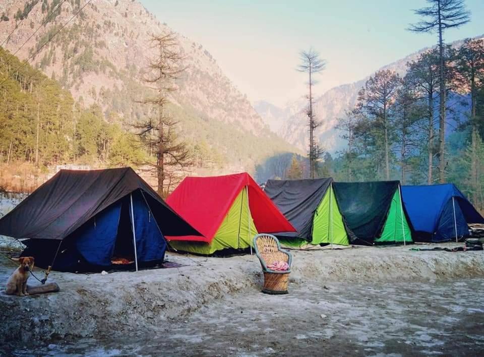 Stayhigh Camps & Cottages Касол Екстериор снимка