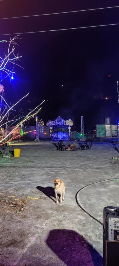 Stayhigh Camps & Cottages Касол Екстериор снимка